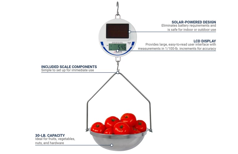 Lowish Digital Electronic 10 Kg Weight Scale Machine, Weight Machines for  Kitchen, Measure for Measuring Fruits,Spice,Food,Vegetable