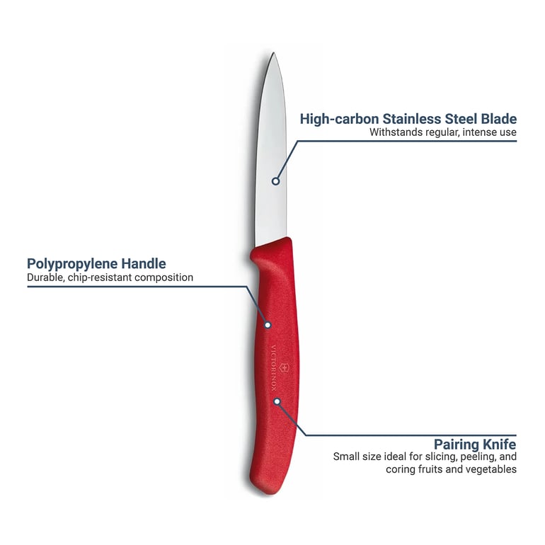 Victorinox 6.7601 2025