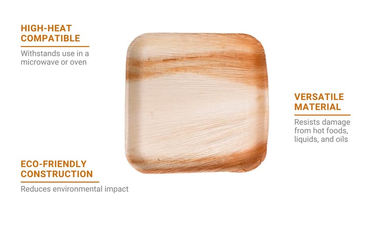 VerTerra 012020B Features